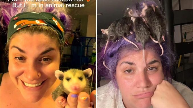 Animal Rescue TikToker Accused Of Endangering Baby Squirrels’ Lives Claps Back At “Toxic” Hater