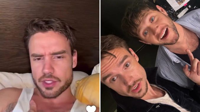 Liam Payne Went To Argentina To “Square” Things Up With Niall Horan: “We’ve Got A Lot To Talk”