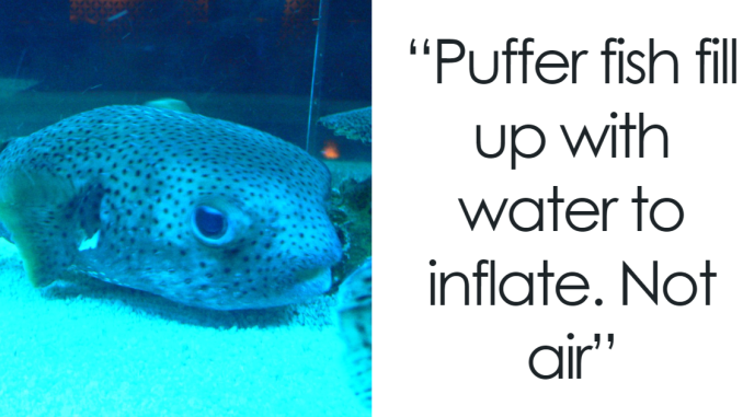 75 Facts People Recently Learned That They Should Have Known For Ages