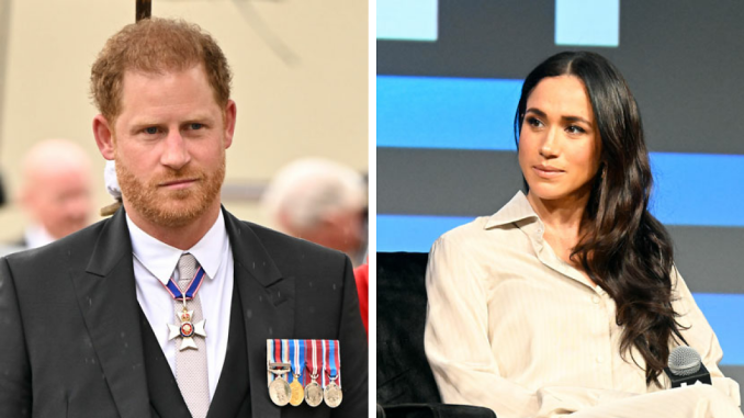 Prince Harry And Meghan Markle’s Professional Relationship Is In A “Bad State”, Expert Alleges