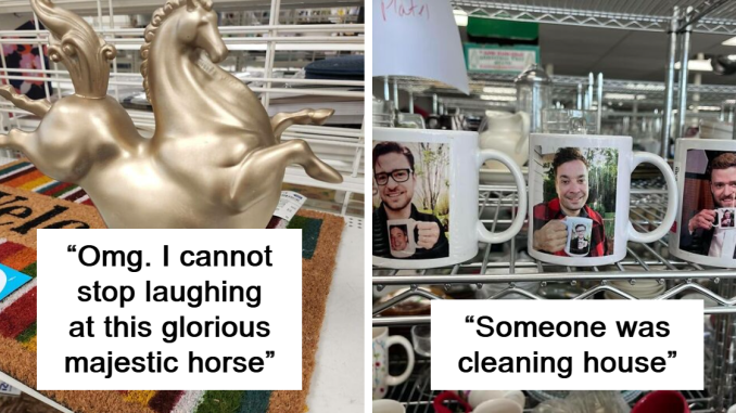 67 Times People Found The Funniest And Weirdest Things While Shopping Secondhand