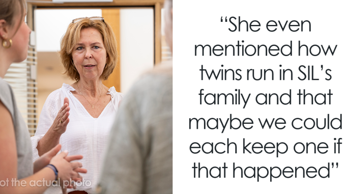Woman Stunned At MIL’s Wild Plan For SIL To Be The One Carrying Her Future Baby
