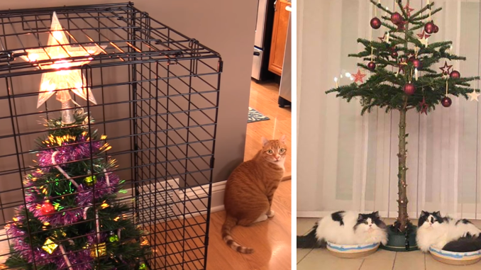 40 Genius People Who Found A Way To Protect Their Christmas Trees From Cats And Dogs