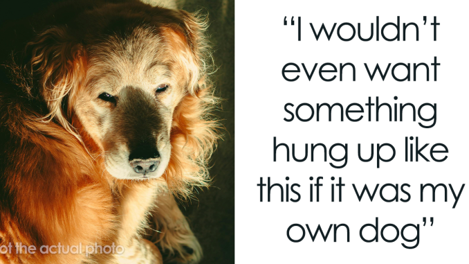 Woman Is Angry BF Wants To Put Up A “Flat Screen TV Size” Photo Of His Late Dog In The Apartment