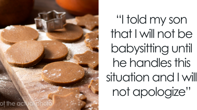 “I Will Not Apologize”: DIL Throws Away Grandma’s Homemade Cookies, Babysitting Boycott Follows