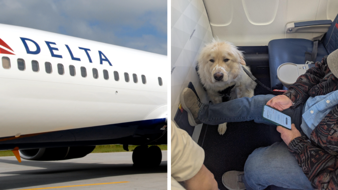 Flyer Fumes After Airline Bumps Him From First Class In Favor Of A Dog: “Sorry, That’s Ruff”