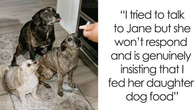 Sister’s Meltdown Leaves Woman Questioning: “AITA For Giving My Niece ‘Dog Food’?”