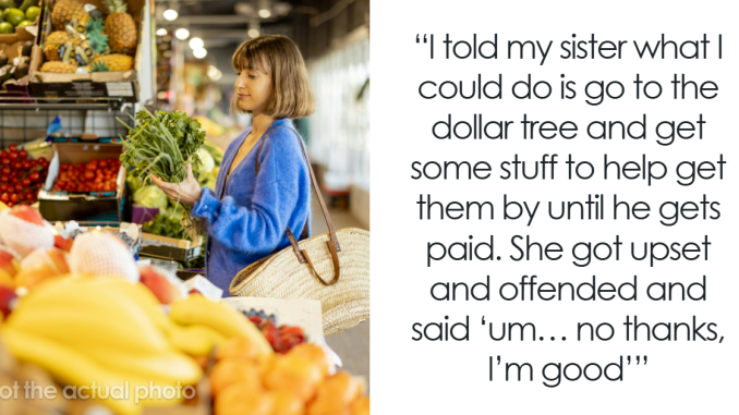 “AITA For Offering To Get My Sister Groceries From The Dollar Tree?”
