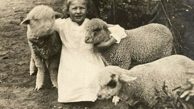 110 Timeless Historical Pictures That Speak A Thousand Words Of Lives Lived