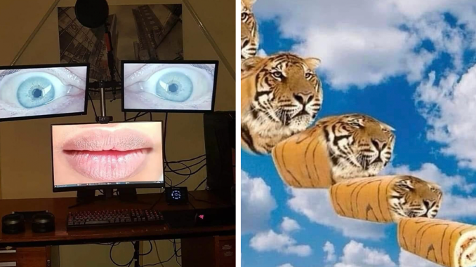This IG Page Specializes In Weirdness And Here Are 40 Of Their Latest Posts (New Pics)