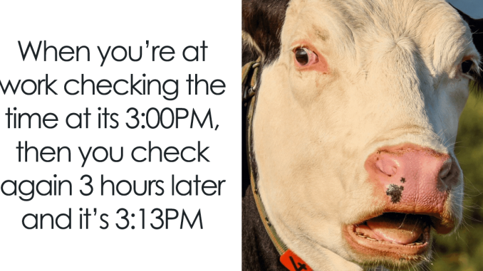 80 Memes About Work That Might Get Too Real Too Quick