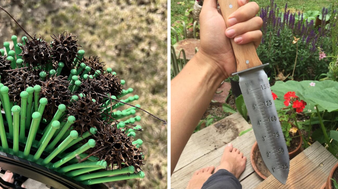 Gardening For The Chronically Chill: Here Are 26 Finds That Basically Do The Work For You