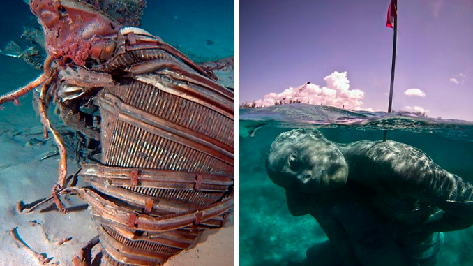 30 Of The Strangest Things People Have Ever Found In The Ocean