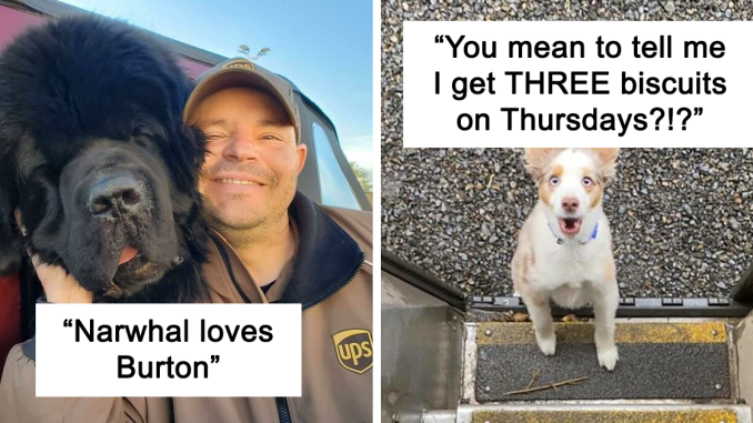 35 Times UPS Drivers Were Lucky To Meet Dogs On Their Routes And Shared The Pics On This Group (New Pics)