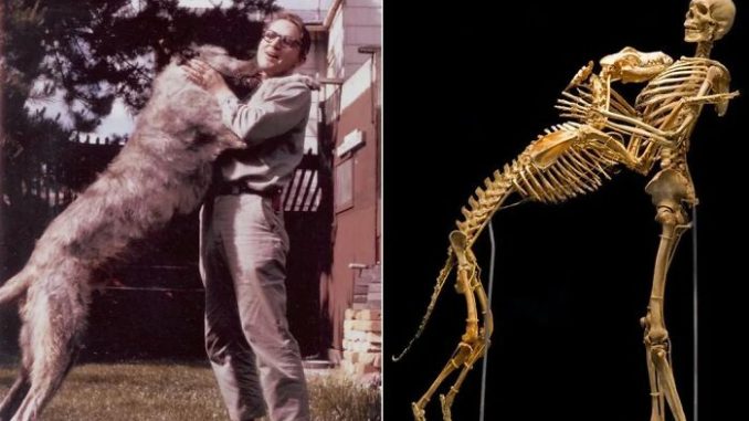 23 Morbid Facts That Might Teach You Something New Or Ruin Your Day