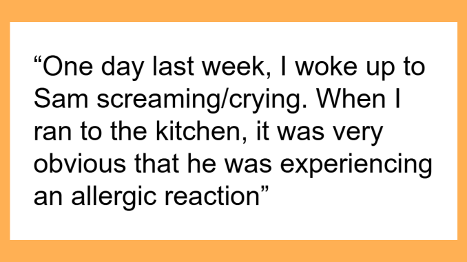 “AITA For Refusing To Pay Medical Bills For My Roommate’s Son After He Had An Allergic Reaction?”