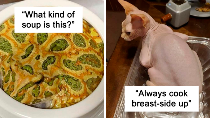 48 Hilarious Photos Of Animals Who Have An Uncanny Resemblance To Foods