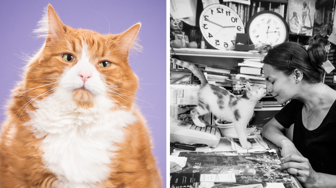 The Best Of Cat Photography: 74 Cat Pics That Might Make Your Day Purrfect