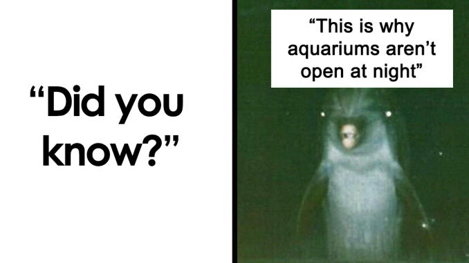 14 Creepy Facts Not For The Faint-Hearted, As Shared On This Instagram Page