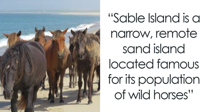 50 Interesting Facts About The Unusual, Wonderful Or Tragic Things That Actually Happened