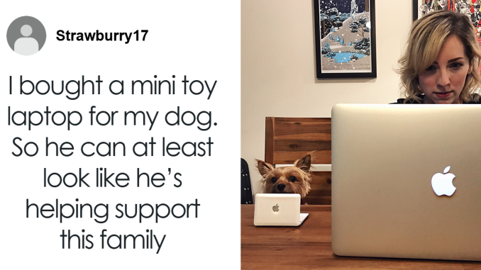 78 Funny And Wholesome Posts To Confirm Why Dogs Are Man’s Best Friends