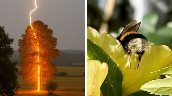 80 Times People Captured Nature’s Breathtaking Beauty, As Seen In This Facebook Group