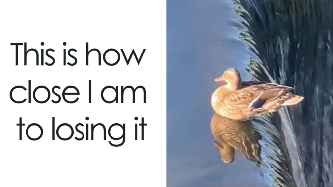 83 Random Memes That Deliver A Solid Dose Of Hilarious Nonsense