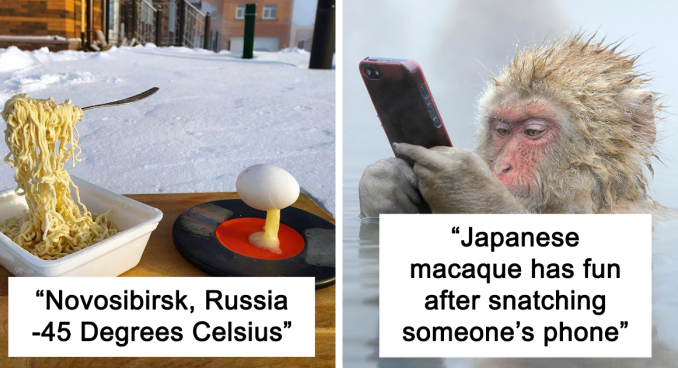 “Nature Is Freaking Lit”: 49 Times People Were Surprised By Nature (New Pics)