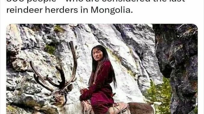 22 Surprising Random Facts You Didn’t Know You Needed, Shared On This IG Page