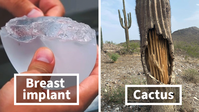 46 Times Things Got “Opened” And People Saw Interesting Things Inside (New Pics)