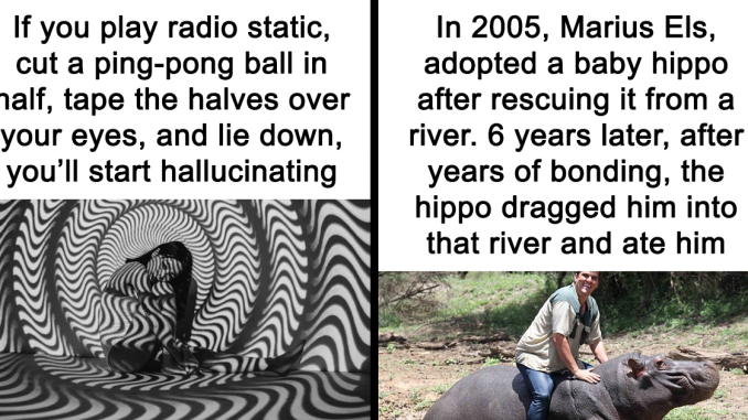 44 Of The Most Interesting And Fascinating Facts (New Pics)