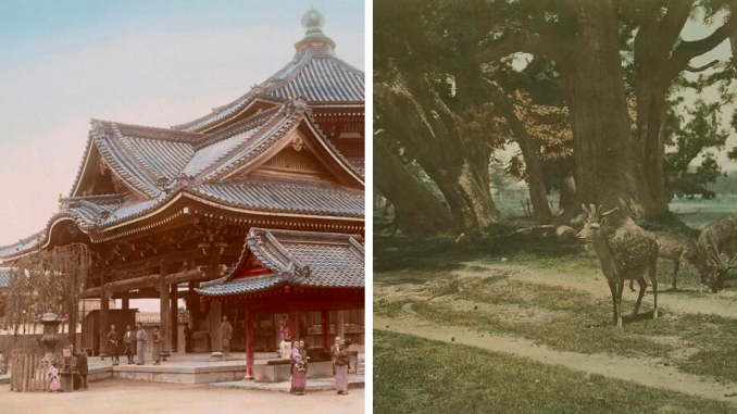 40 Pics Showing What Japan Looked Like In The 1800s