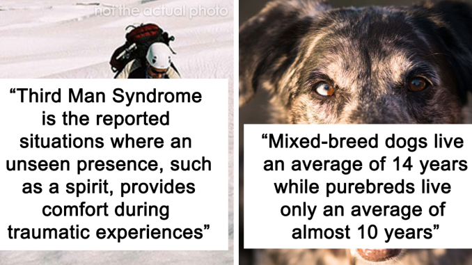 “Today I Learned”: 17 Interesting Things About The World That People Didn’t Know Until Recently