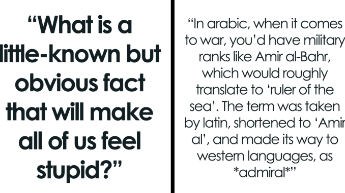 32 Random Facts That Seem Too Weird To Be True, Yet They Are, According To Folks Online