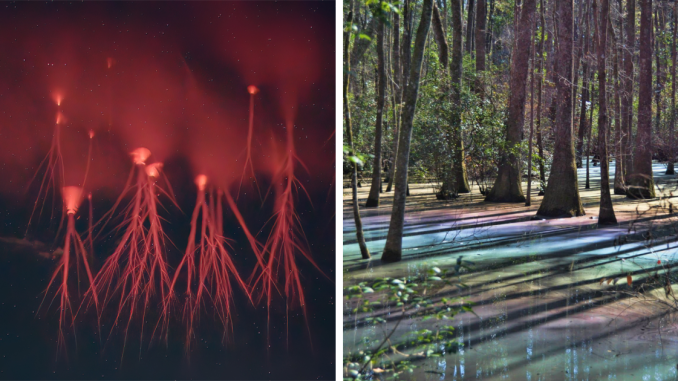 57 Incredibly Beautiful Pics Capturing Rare Natural Phenomena