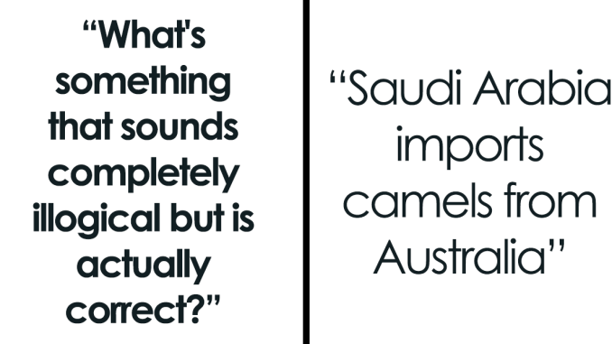 30 Facts That Took People By Surprise When They First Heard Them, As Shared Online