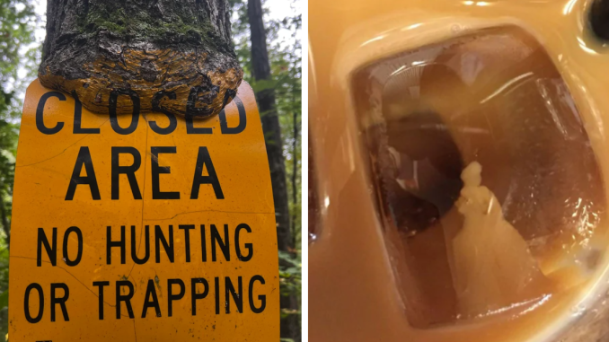 48 One-In-A-Million Coincidences That Are Hard To Believe