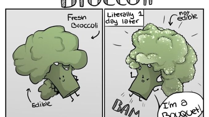 20 Comics By A Medical Student Who Never Had The Guts To Become A Comic Artist, But Finally Dared To