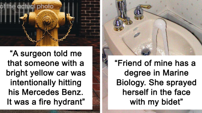 Hundreds Of People Just Had To Share The Stupidest Things They’d Ever Seen An Intelligent Human Do, And Here Are 16 Of The Best Ones