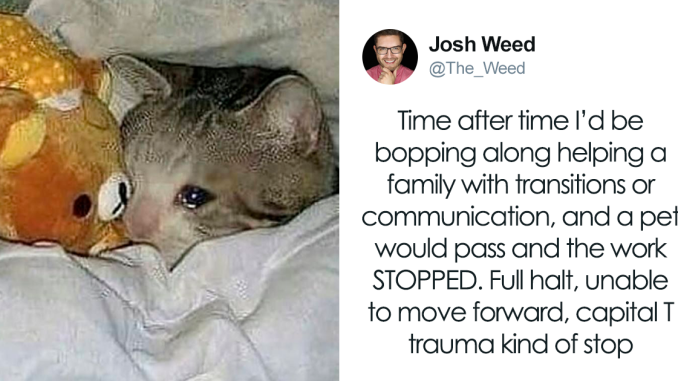 “Pets Are Family”: Family Therapist Explains Why Pets Mean So Much More Than That To Their Humans