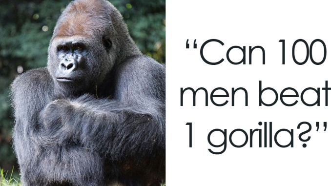 5 Moments That Went Viral Online While You Were Just Trying To Survive April
