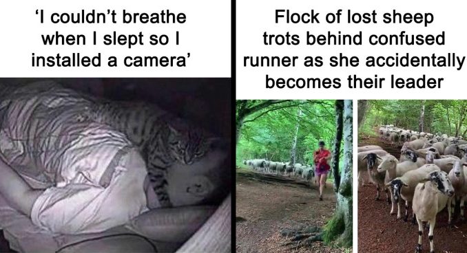 If The World Feels Like A Terrible Place, These 46 Wholesome Pics And Memes Might Cheer You Up