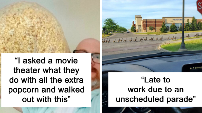 If You’re Having A Bad Day, Here Are 43 Wholesome Posts To Cheer You Up