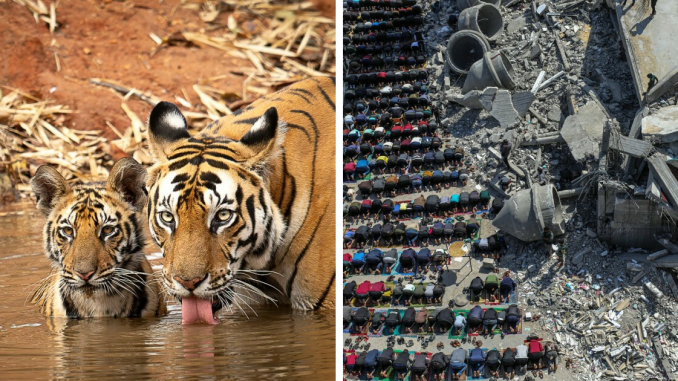 1839 Photography Awards: 24 Winning Color Shots Worth Seeing