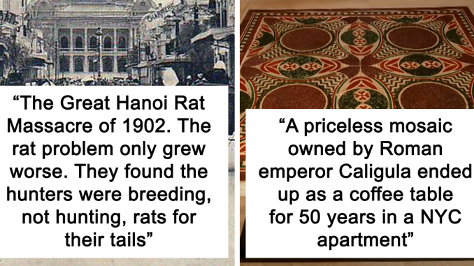 42 New ‘Today I Learned’ Facts That Prove It’s Never Too Late To Learn Something New