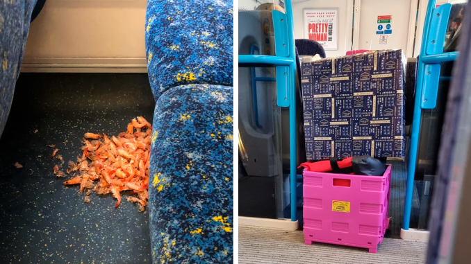 54 Infuriating Public Transport Passengers Who Desperately Need A Reality Check (New Pics)