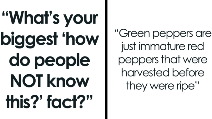 24 Cases When People Were Shocked That Someone Didn’t Know These Basic Facts
