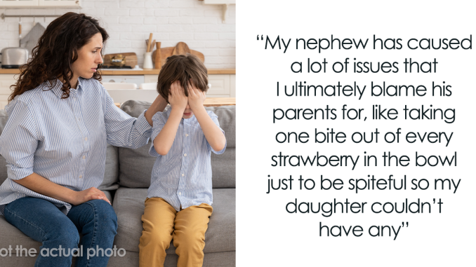 Woman Offers To Help SIL By Babysitting Her Kid For Free, Regrets It After He Creates Utter Chaos