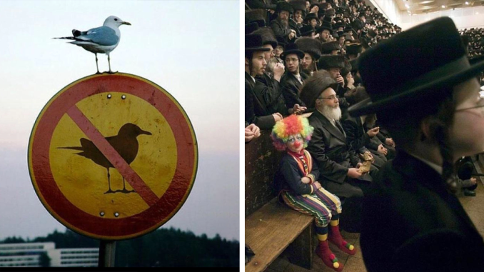 30 Images That Are So Cool And Unusual They Could Totally Work As Album Covers
