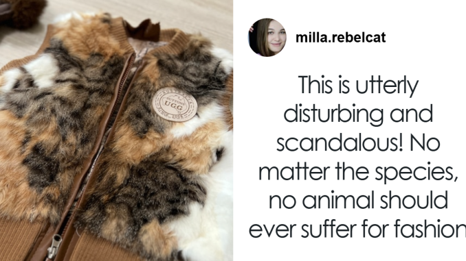 Mass Fury After Fashion Brand Is Caught Using Cat Fur In Vests Despite Labels Saying It Was Wool